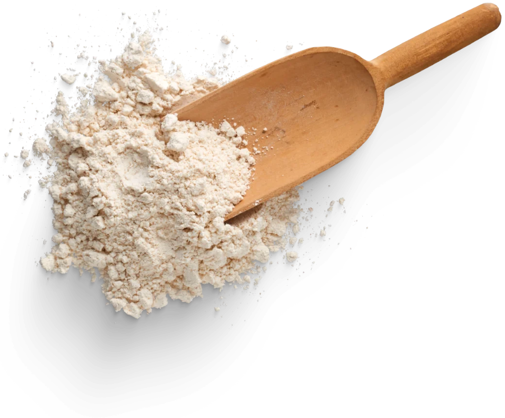 GnocchUout – Regionale Gnocchi to go Frische Gnocchi mit Topping