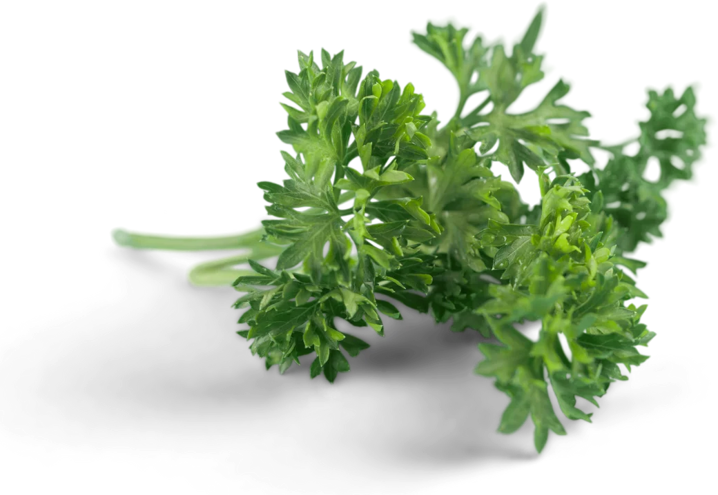 Foodtruck Mittagspause München GnocchUout – Kreatives Gnocchi Catering